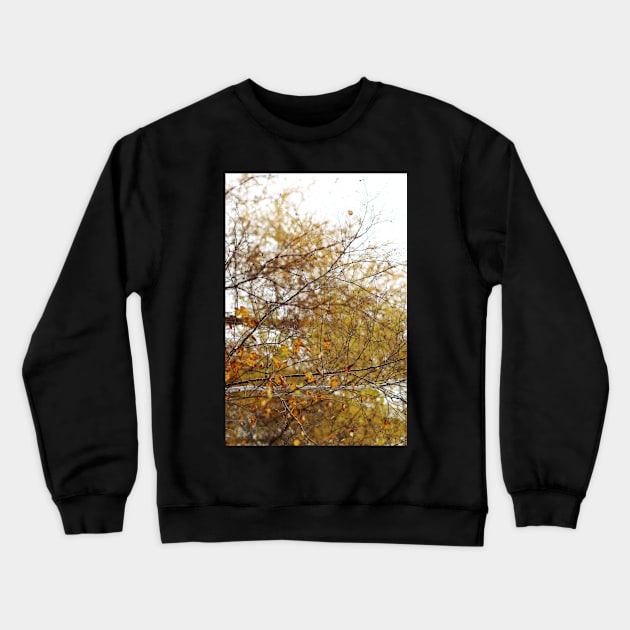 Stop and Stare Crewneck Sweatshirt by annaprendergast